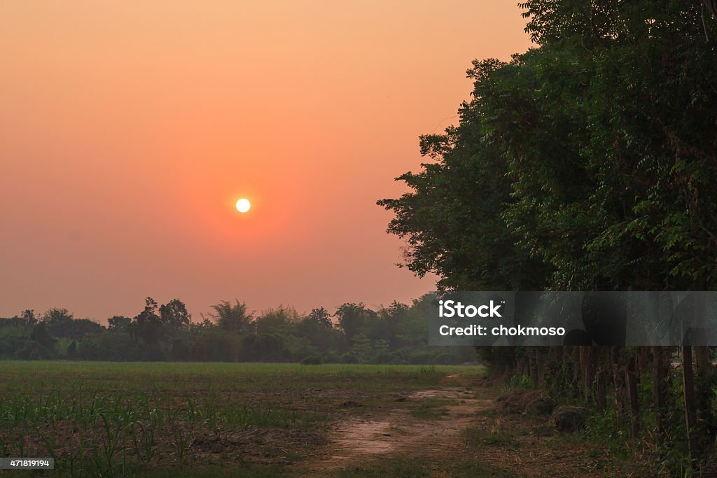 The sun The sun Beautiful the morning 2015 Stock Photo