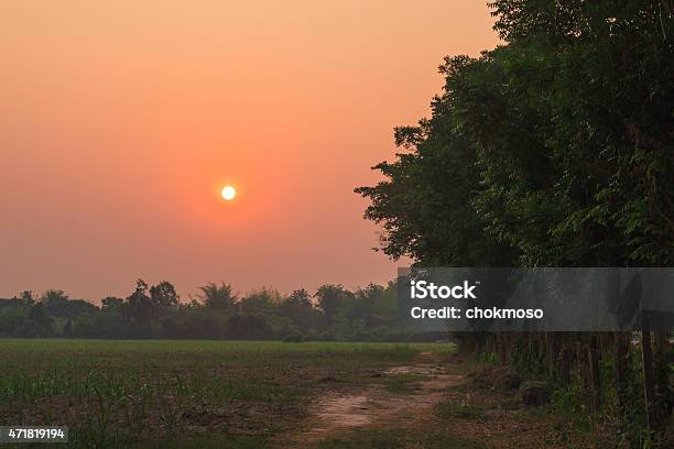 The Sun Stock Photo - Download Image Now - 2015, Agricultural Field, Autumn