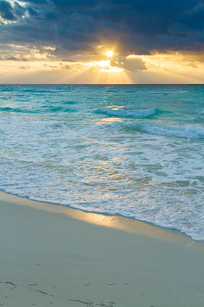 istock Beach of the Caribbean Sea 471819269