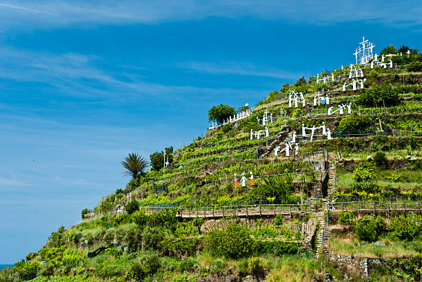 Manarola village, Cinque Terre, Italy Landscape in Manarola village, Cinque Terre, Liguria in Italy jusus stock pictures, royalty-free photos & images