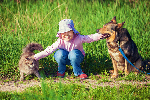Happy little girl playing with dog and cat outdoors