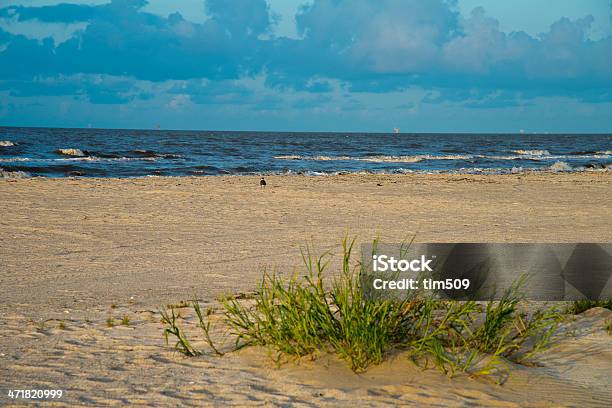 Photo libre de droit de Plage Lumière Du Matin banque d'images et plus d'images libres de droit de Aube - Aube, Beige, Bleu