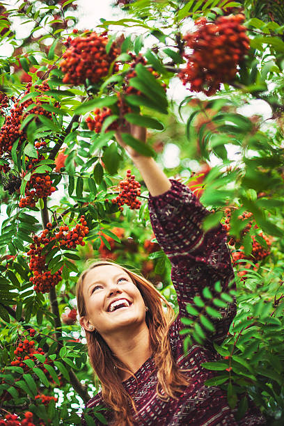 Beautiful woman and a rowan tree Beautiful woman and a rowan tree rowanberry stock pictures, royalty-free photos & images