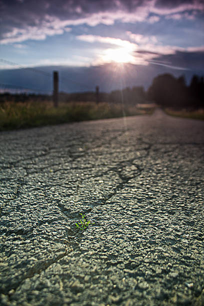 istock countryside farm lane 471823067