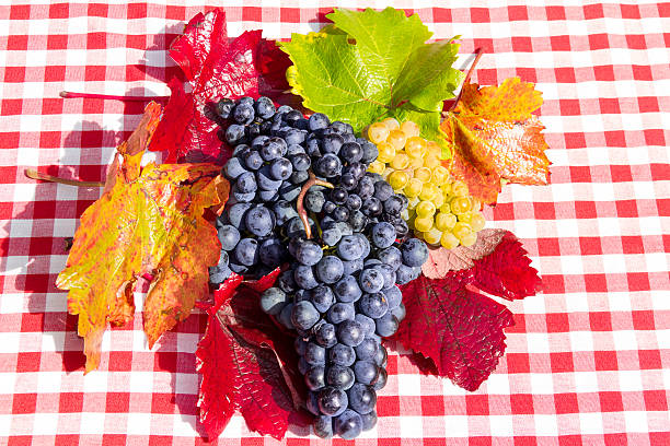 Grapes