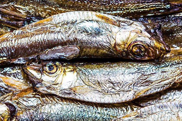 istock sprats in yin yang formation 471824210