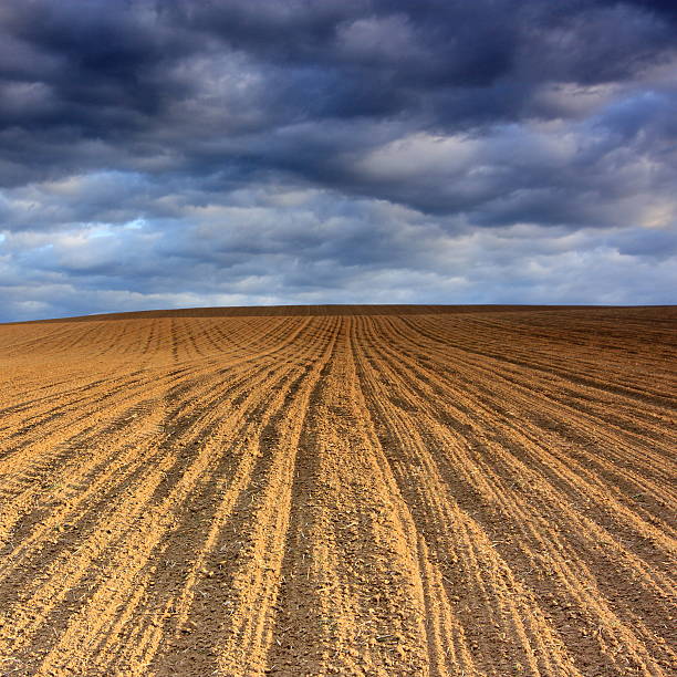 Field line stock photo