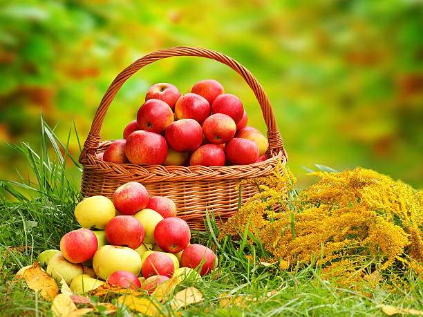 istock Red and yellow apples in the basket 471826179