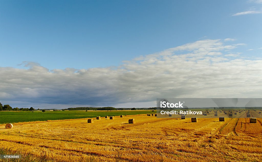 Paysage de campagne. - Photo de Agriculture libre de droits