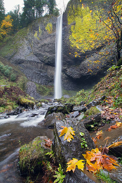 istock Latourell Falls Oregon in Autumn 471826613