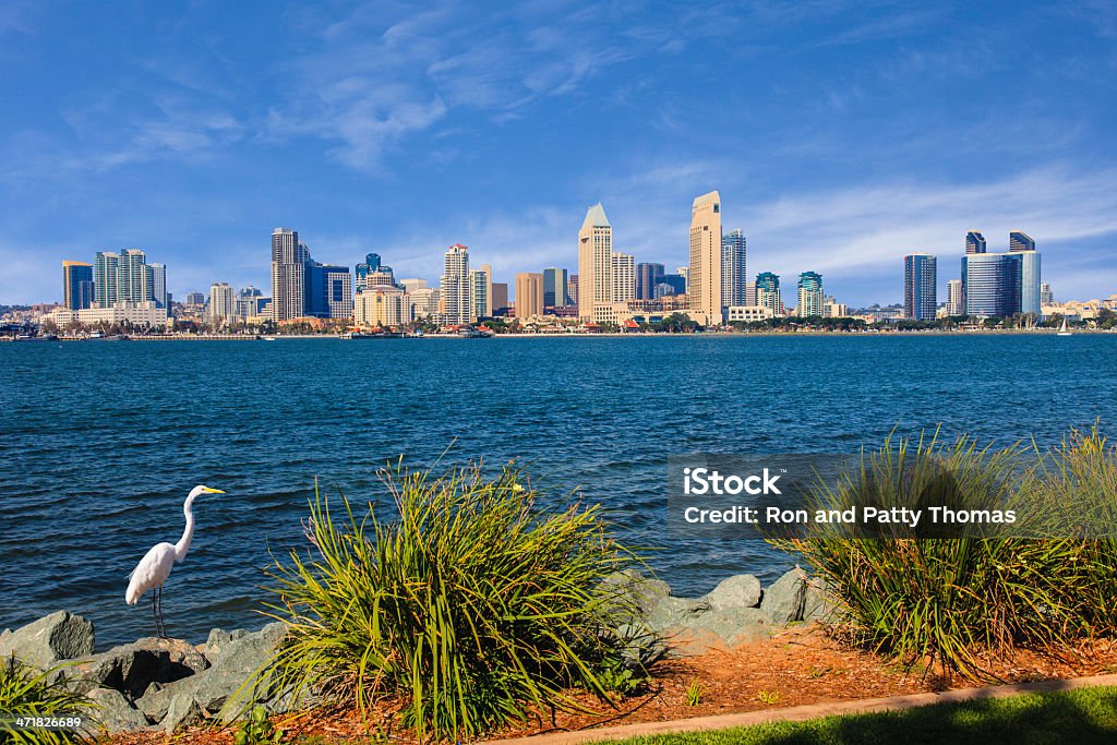 San Diego skyline and Bay, California San Diego skyline and San Diego Bay with park forground, California San Diego Bay Stock Photo