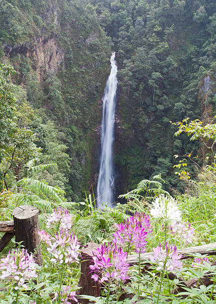 istock Mae-Surin waterfall of Thailand 471826815