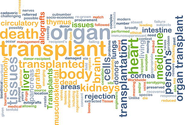 istock Organ transplant wordcloud concept illustration 471827818