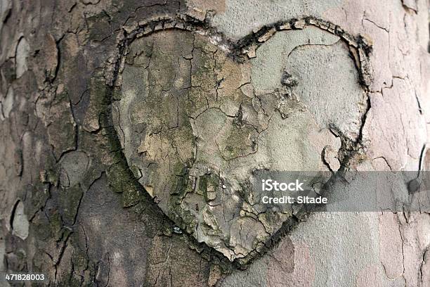 Serce Rzeźbione Na Drzewo - zdjęcia stockowe i więcej obrazów Drzewo - Drzewo, Rzeźbić, Rzeźba - Wyrób rzemieślniczy