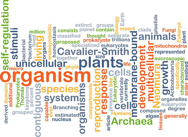 istock Organism wordcloud concept illustration 471828034
