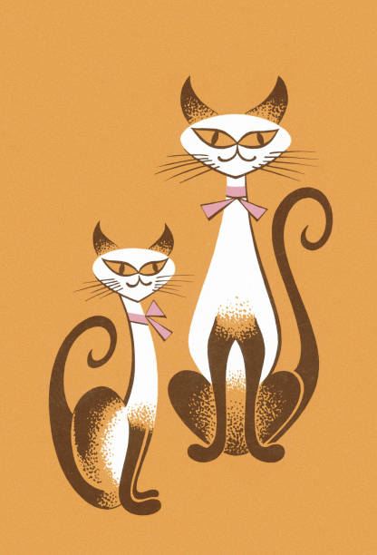 kuvapankkikuvitukset aiheesta siamilaiset kissat - siamese cat