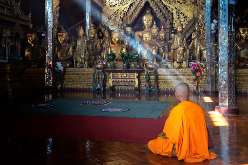 A young novice monk at the Wat Zom Khum Monestary  praying to the magnificent gold-gilded Buddha statues in the temple hall. Sunbeams stream into the hall enhance the spiritual aura of the scene.