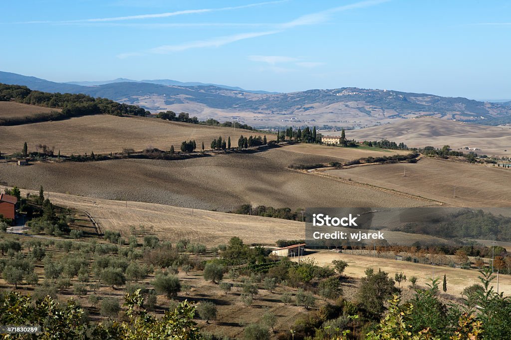 Le colline intorno Pienza e Monticchiello - Foto stock royalty-free di Agricoltura