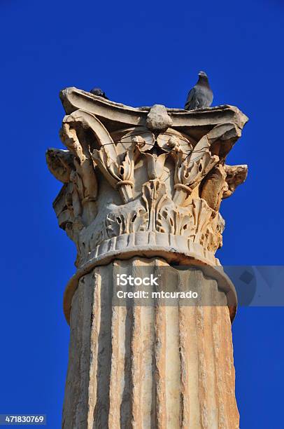 Cherchell Algeria Romane Colonne Di Ordine Corinzio - Fotografie stock e altre immagini di Algeria