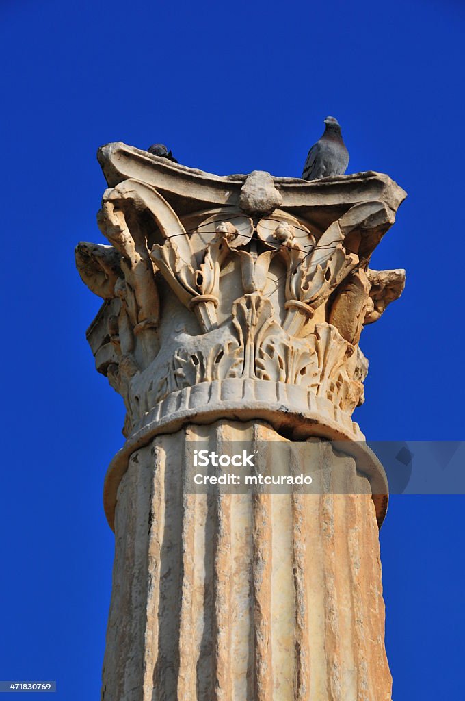 Cherchell, Argélia: Roman Colunas coríntias pedido - Foto de stock de Argélia royalty-free
