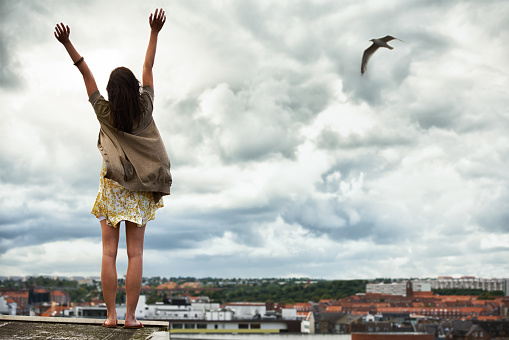 Rear view of a young woman with her arms raised standing on a rooftophttp://195.154.178.81/DATA/i_collage/pi/shoots/781158.jpg