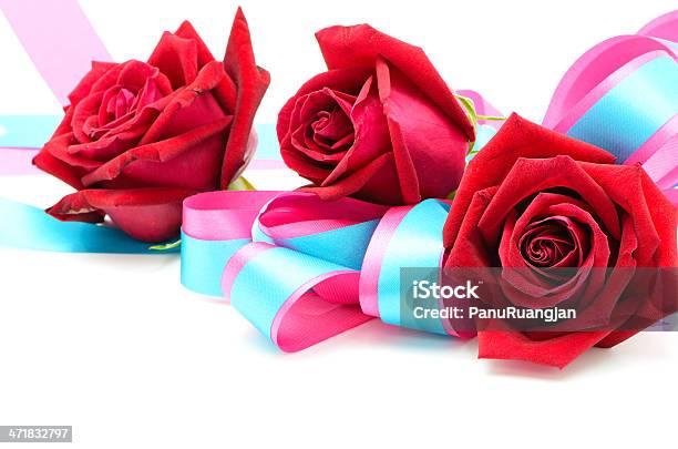 Rote Rose Stockfoto und mehr Bilder von Baumblüte - Baumblüte, Blume, Blütenblatt