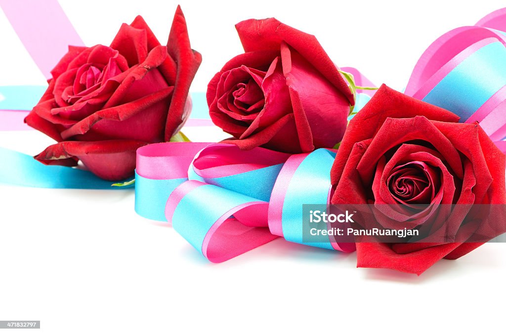 Rosa vermelha - Royalty-free Aberto Foto de stock