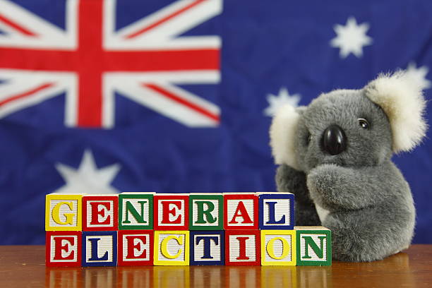 elezioni generali australiano - stuffed animal toy koala australia foto e immagini stock