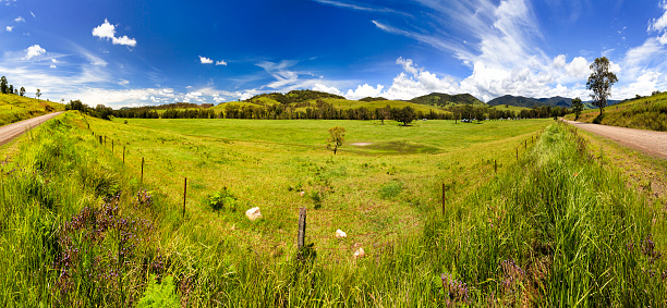 australian remote rural land near Barrington tops one hot summer day with green cultivated grass in developed agricultural property panoramically shot from road
