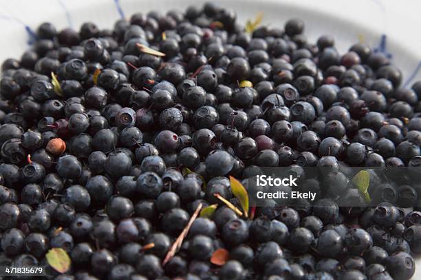Blueberries — стоковые фотографии и другие картинки Без людей - Без людей, Белый, Белый фон