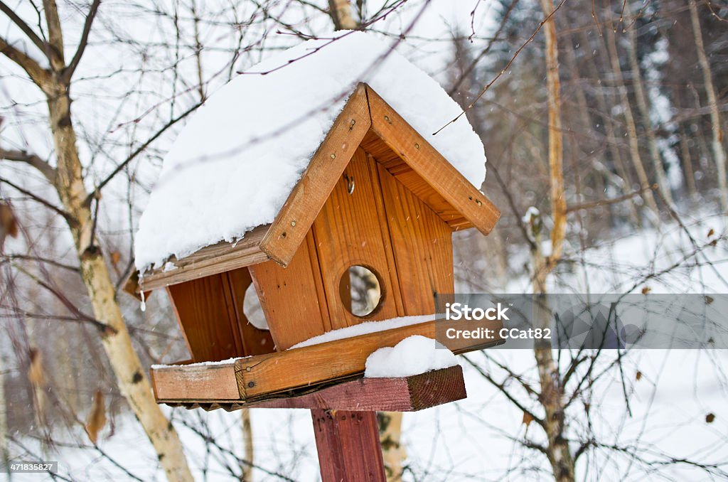 Comedouro de pássaro - Royalty-free A nevar Foto de stock