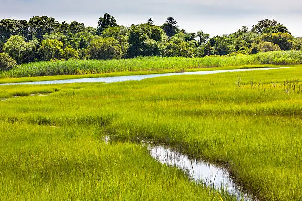 Photo of Padnaram Green Salt Water Marsh Dartmouth Massachusetts