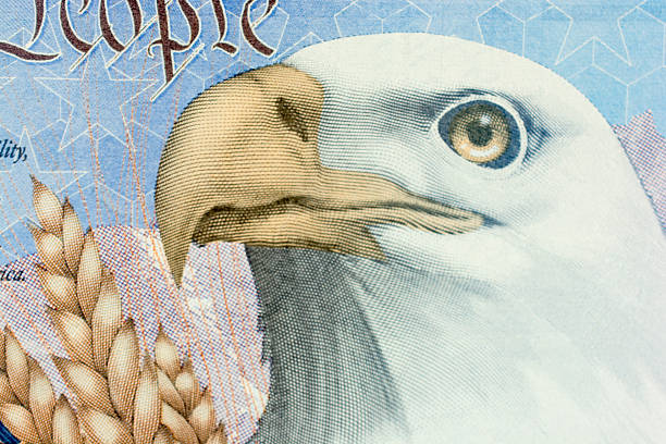 istock United States current passport with eagle symbol from interior page 471837224