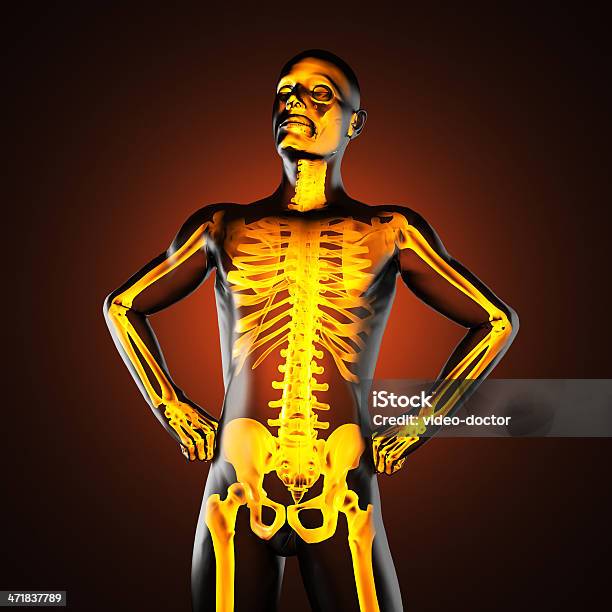Człowieka Radiografia Skanowania - zdjęcia stockowe i więcej obrazów Anatomia człowieka - Anatomia człowieka, Artretyzm, Badanie lekarskie