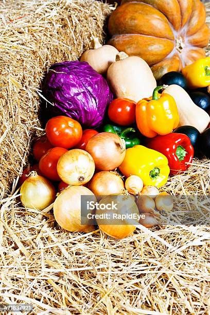 Autunno Festival Colorato Verdure Sane In Paglia - Fotografie stock e altre immagini di Abbondanza - Abbondanza, Alimentazione sana, Autunno