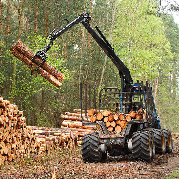istock A wood log collector clearing in a forest area 471838303