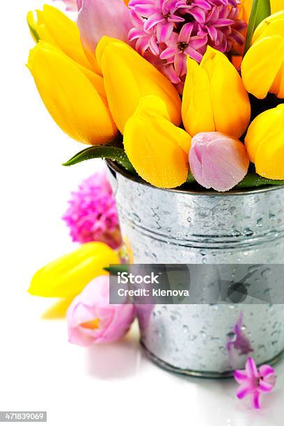 Piękna Wiosna Kwiaty - zdjęcia stockowe i więcej obrazów Aranżacja - Aranżacja, Bez ludzi, Białe tło