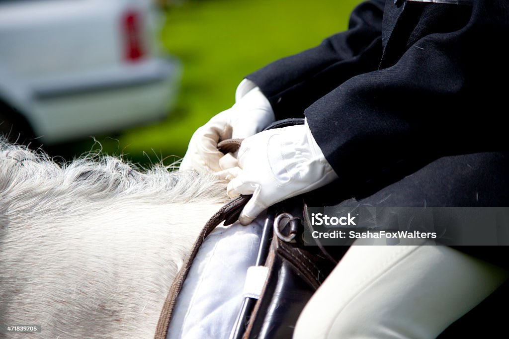 Caballo y rider en la competencia - Foto de stock de Animal doméstico libre de derechos