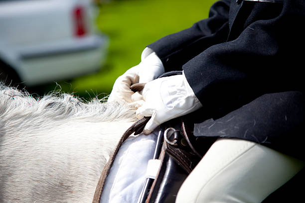 istock horse and rider at competition 471839705