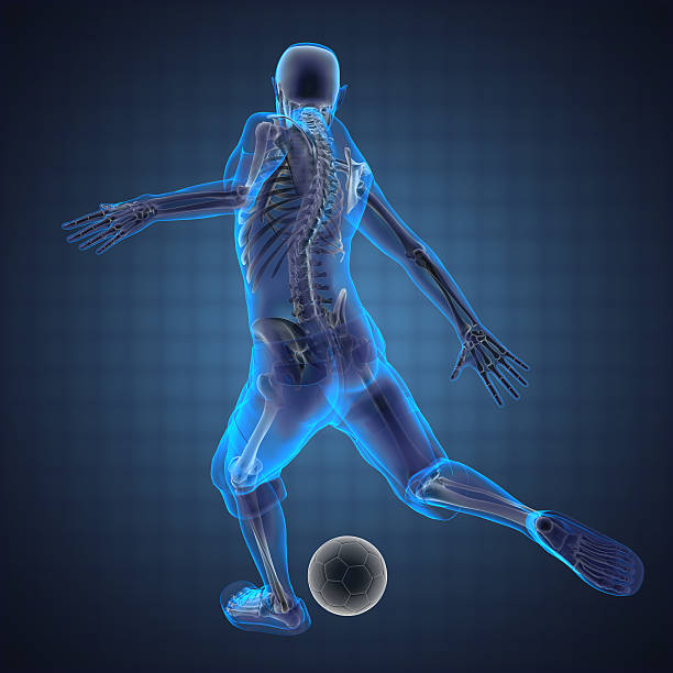 istock 3D image showing skeleton of soccer player  471840479