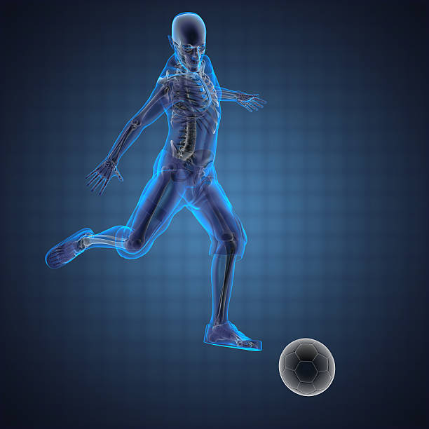 istock Digital image of human with skeleton showing playing soccer 471840493