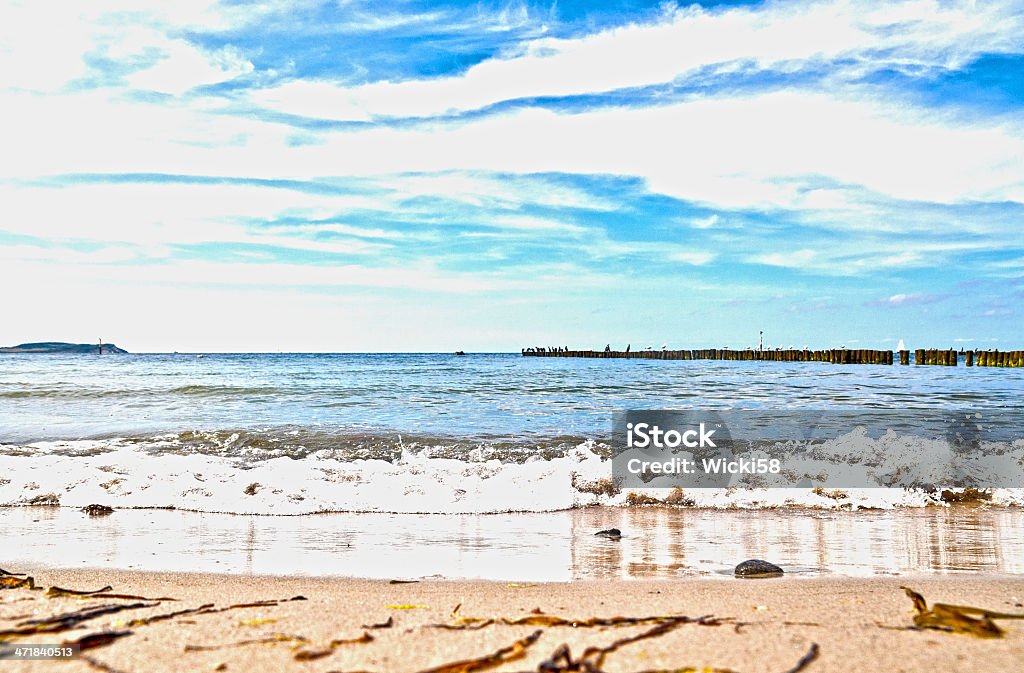 Praia do mar Báltico HDR - Royalty-free Albatroz Foto de stock