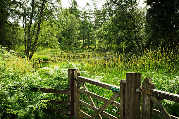 farm puerta cumbria - nibthwaite fotografías e imágenes de stock