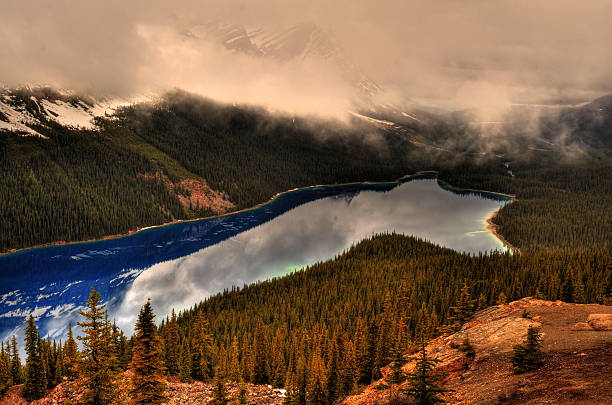 belo lago peyto em alberta com rocky mountain - rockie mountains fotos - fotografias e filmes do acervo