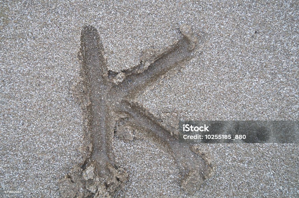 Letra K na praia - Royalty-free Abstrato Foto de stock