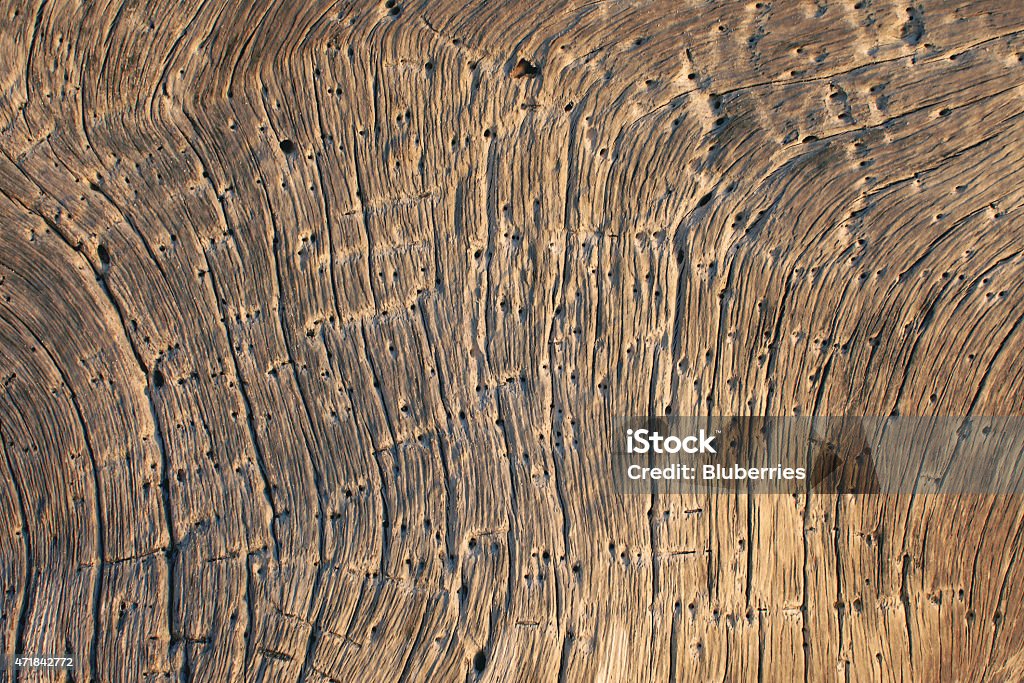 Old Driftwood Background Detail image of old dry driftwood. 2015 Stock Photo