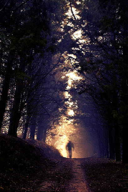 istock Man in the woods 471842927