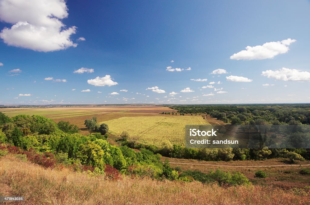 Paese delle meraviglie - Foto stock royalty-free di Agricoltura