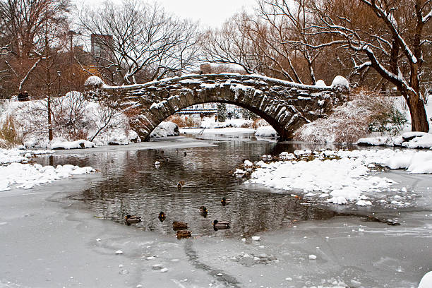 istock Centtral Park. Gapstow Bridge 471844353