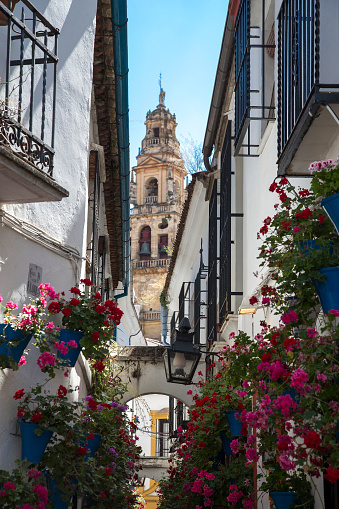 Calleja De Las Flores Cordoba Andalucia Spain Stock Photo - Download Image Now - Andalusia, Animal, Balcony - iStock Calleja De Las Flores Cordoba Andalucia Spain Stock Photo - Download Image Now - Andalusia, Animal, Balcony - iStock